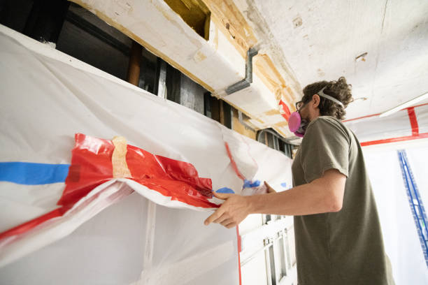 Best Asbestos and Lead Testing During Mold Inspection  in Gainesville, FL