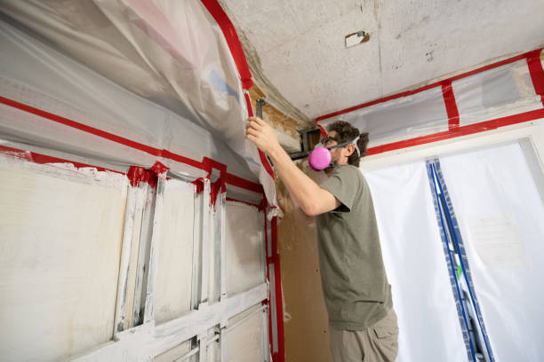 Best Mold Remediation for Healthcare Facilities  in Gainesville, FL