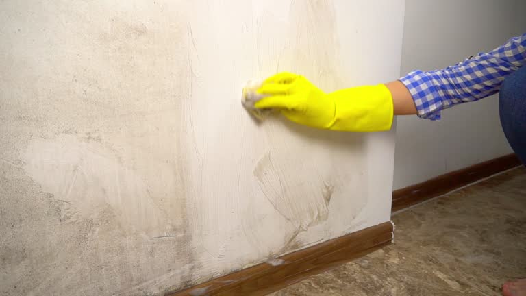 Best Indoor Air Quality Assessment  in Gainesville, FL