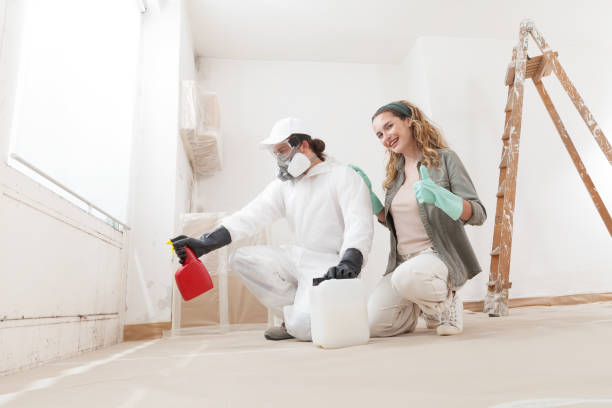 Best Asbestos and Lead Testing During Mold Inspection  in Gainesville, FL