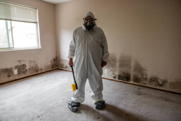 Best Airborne Mold Testing  in Gainesville, FL